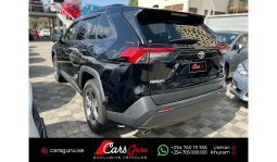Toyota RAV4 2019 full