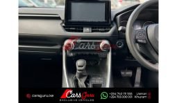 Toyota RAV4 2019 full