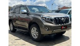 Toyota Land Cruiser PRADO 2010 full