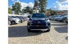 top cars dealership in kanya