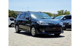 
Toyota Fielder 2016: full									