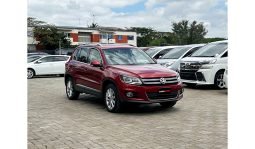
Volkswagen Tiguan 2016 full									