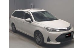 Toyota Corolla Fielder 2019