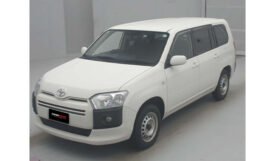 Toyota Probox 2019