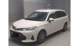 
Toyota Corolla Fielder 2019 full									