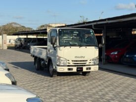 Isuzu Elf 2018