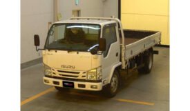 Isuzu Elf Truck 2018