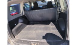 Toyota Probox 2019 full