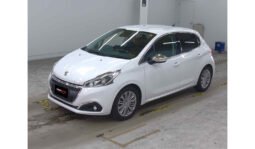 Peugeot 208 2019 full