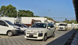 
										Toyota Probox 2019 full									