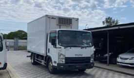 Isuzu Elf 2017
