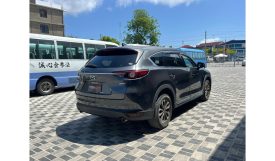 Mazda CX-8 2018