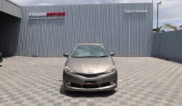 Toyota Wish 2009 full