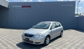 Toyota Runx 2002