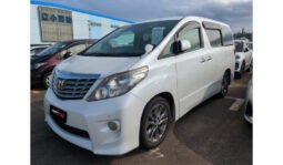 Toyota Alphard 2010 full