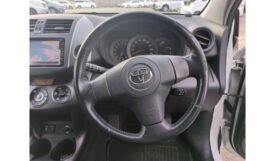 Toyota Vanguard 2009