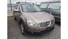 Nissan Dualis 2007