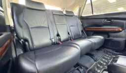 
Toyota Harrier 2004 full									