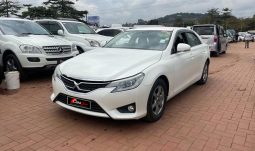 
										Toyota Mark-X 2013 full									