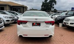 
										Toyota Mark-X 2013 full									