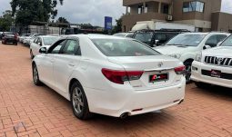 
										Toyota Mark-X 2013 full									