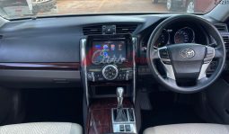 
										Toyota MARK-X 2010 full									