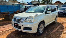 Nissan X-TRAIL 2010