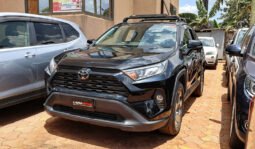 
										Toyota RAV-4 2019 full									