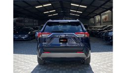 
Toyota RAV4 2019 full									