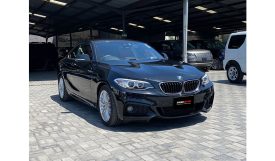 BMW 220I 2017