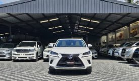 Lexus NX300h 2018