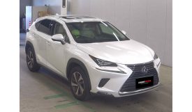 Lexus NX300h 2018