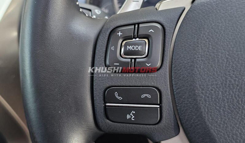 Lexus NX300 2018 full