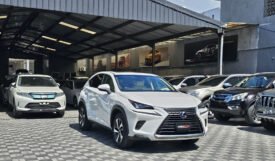 Lexus NX300h 2018