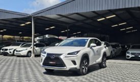 Lexus NX300h 2018