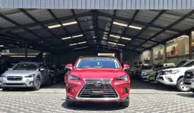 Lexus NX300 2018