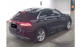 Audi Q8 2019