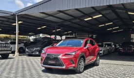 Lexus NX300 2018