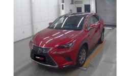 
										Lexus NX300 2018 full									