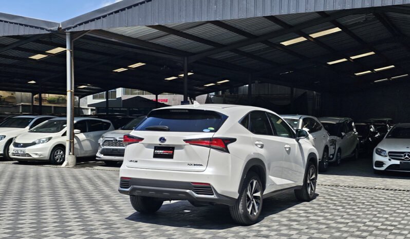 
								Lexus NX300h 2018 full									