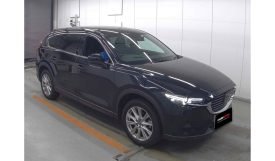 Mazda CX-8 2018