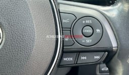 
										Toyota RAV4 2019 full									