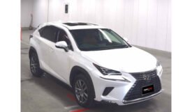 Lexus NX300 2018