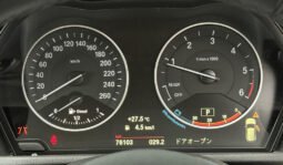 BMW X1 2018 full