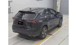 Lexus NX300 2019 full