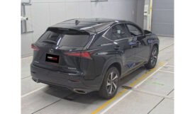 Lexus NX300 2019