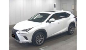 Lexus NX300 2018