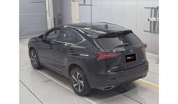 Lexus NX300 2019 full