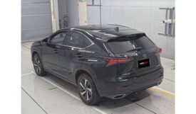 Lexus NX300 2019