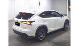 Lexus NX300 2018
